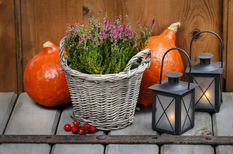 Autumn Basket with Flowers