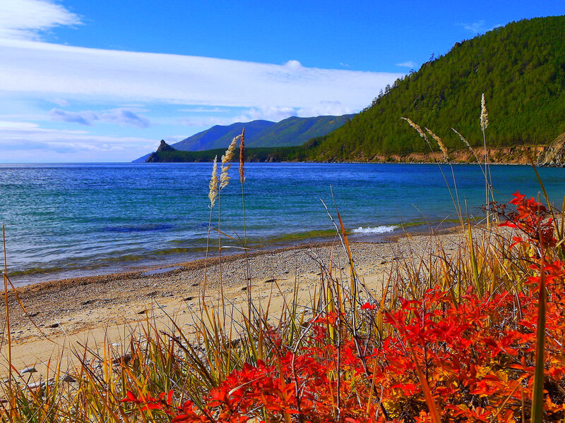 Autumn Beach with Lake
