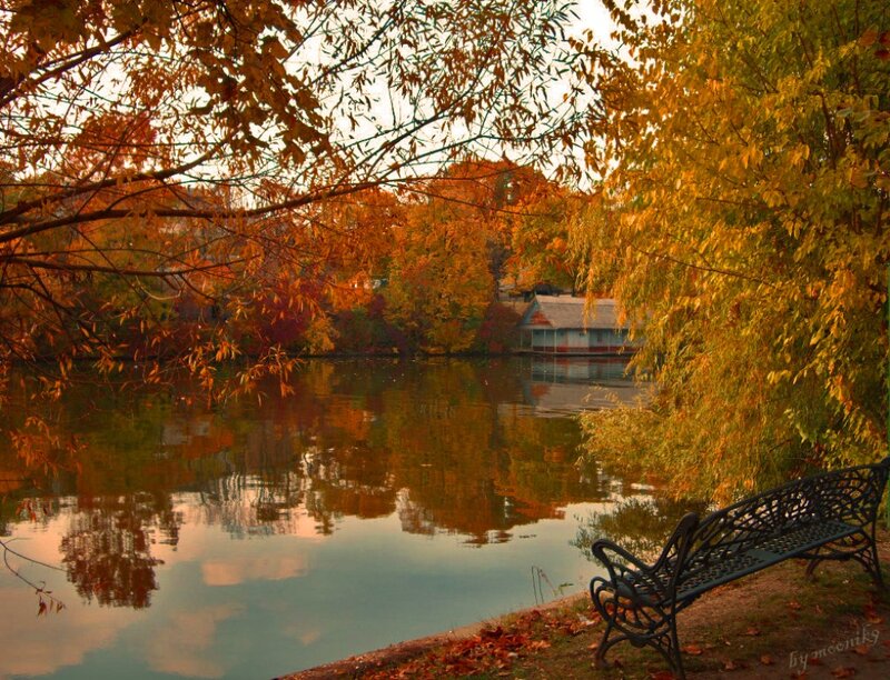 Autumn Bench by Lake