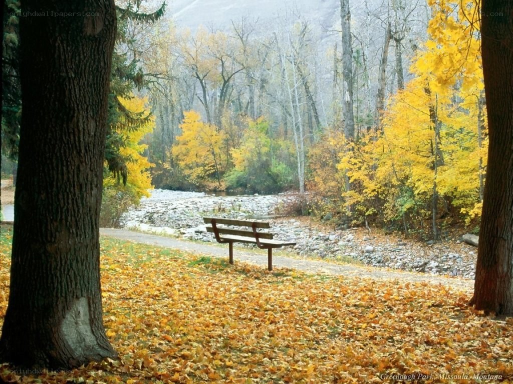 Autumn bench by river