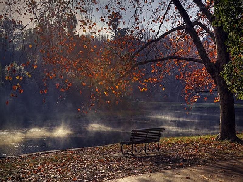 Autumn bench by the lake