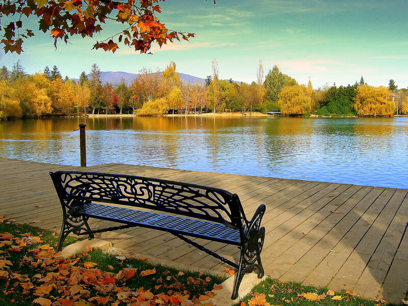 Autumn bench by the lake