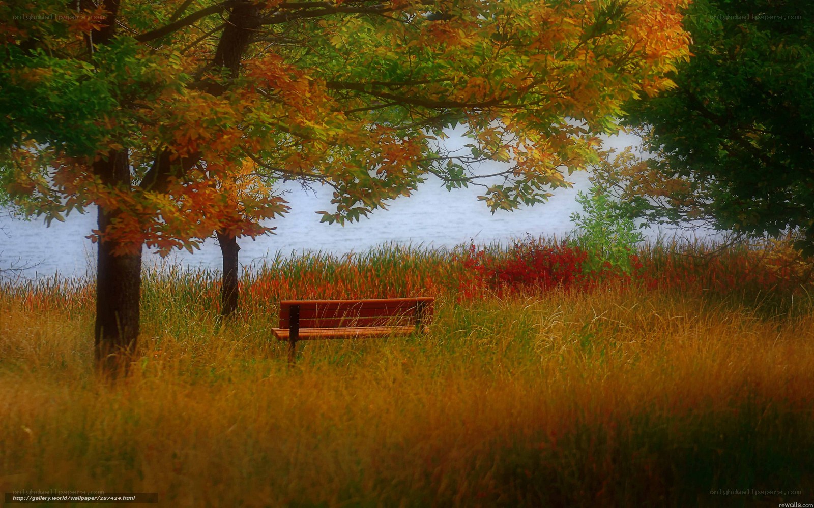 Autumn bench by the lake