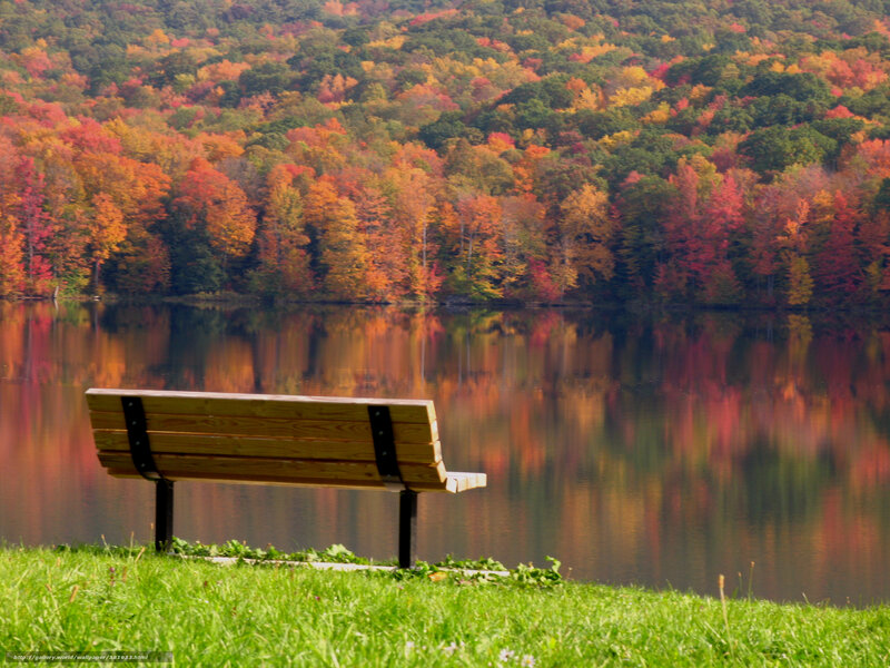 Autumn bench by the lake