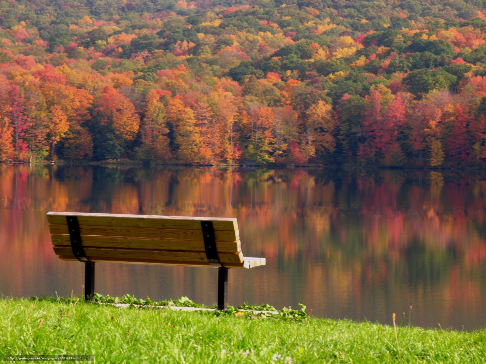 Autumn bench by the lake