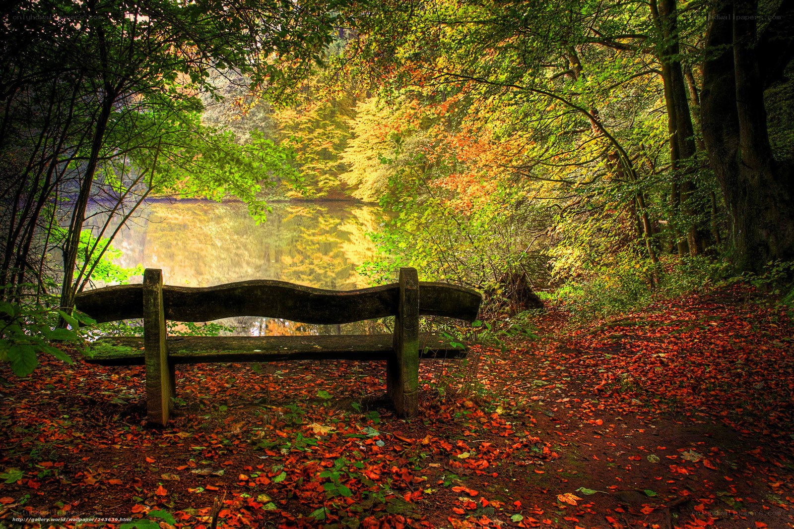 Autumn bench by the lake