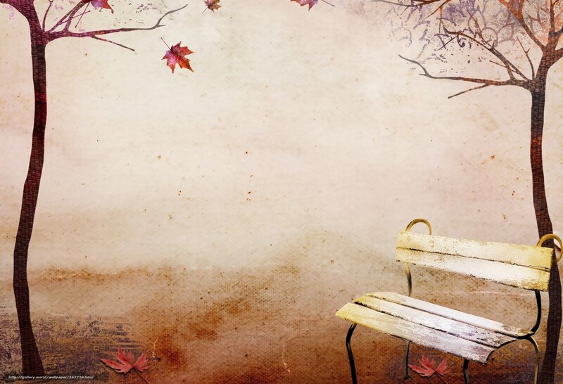 Autumn bench in park