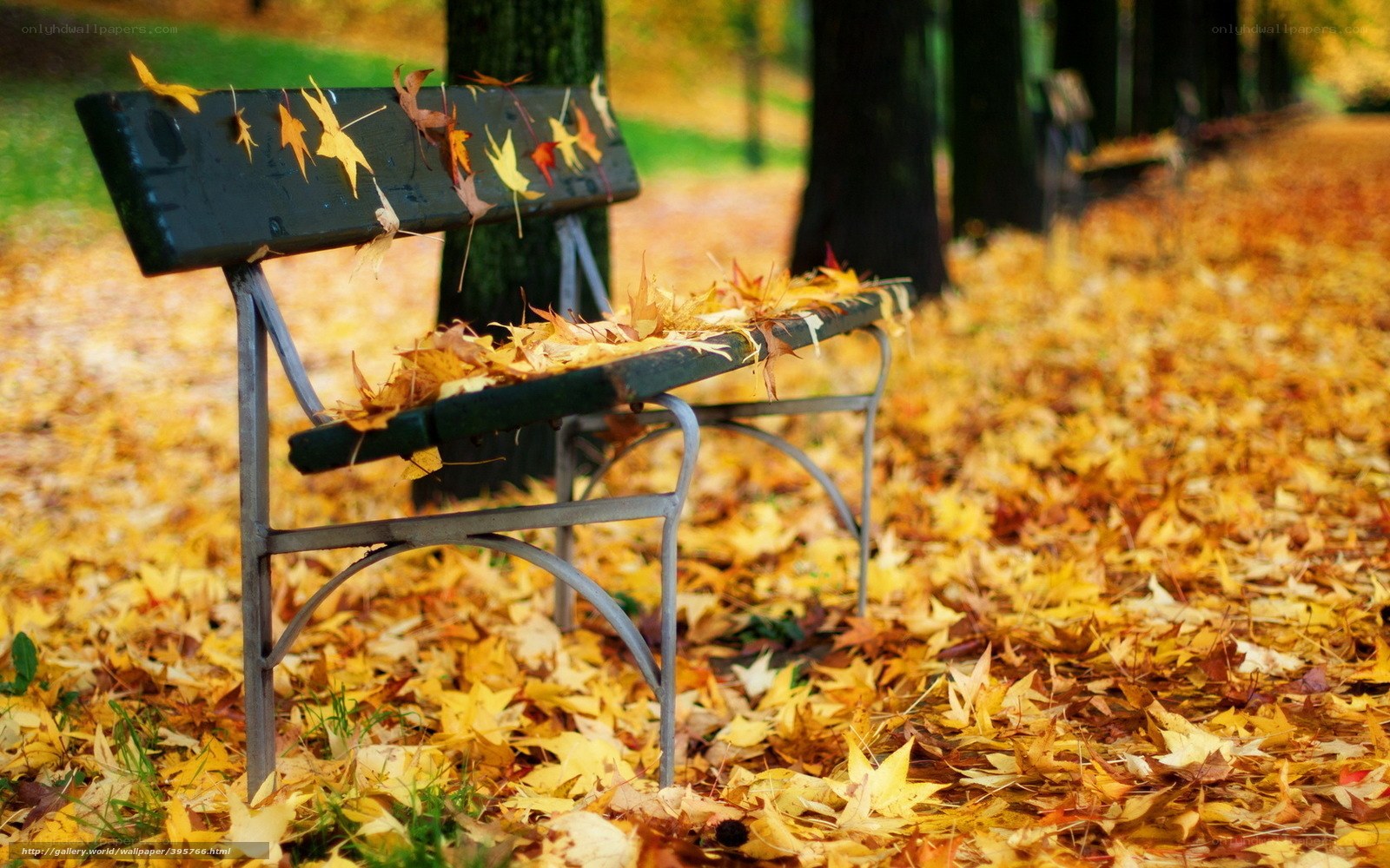 Autumn bench with fallen leaves