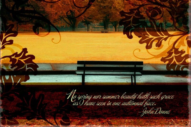 Autumn bench with quote