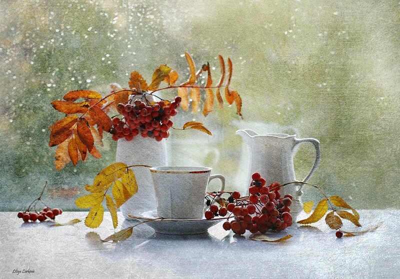 Autumn Berries and Cup