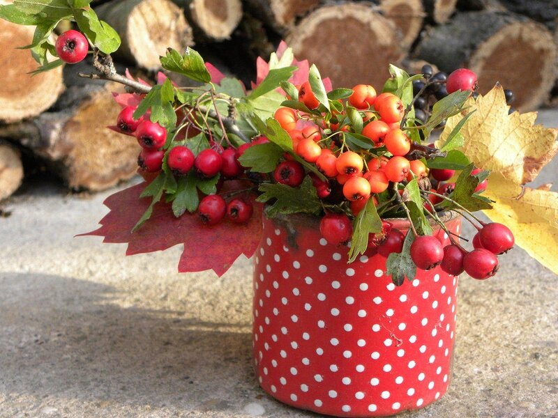 Autumn Berries in Vase
