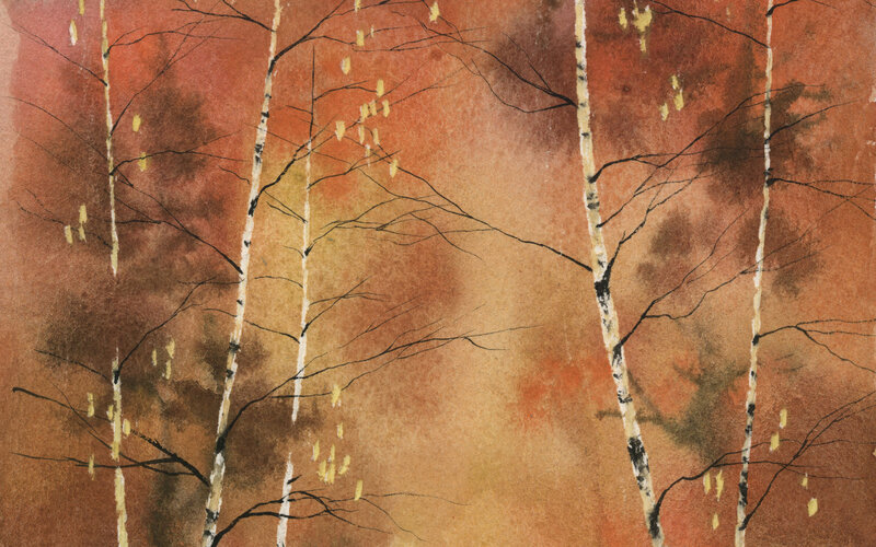 Autumn birch forest