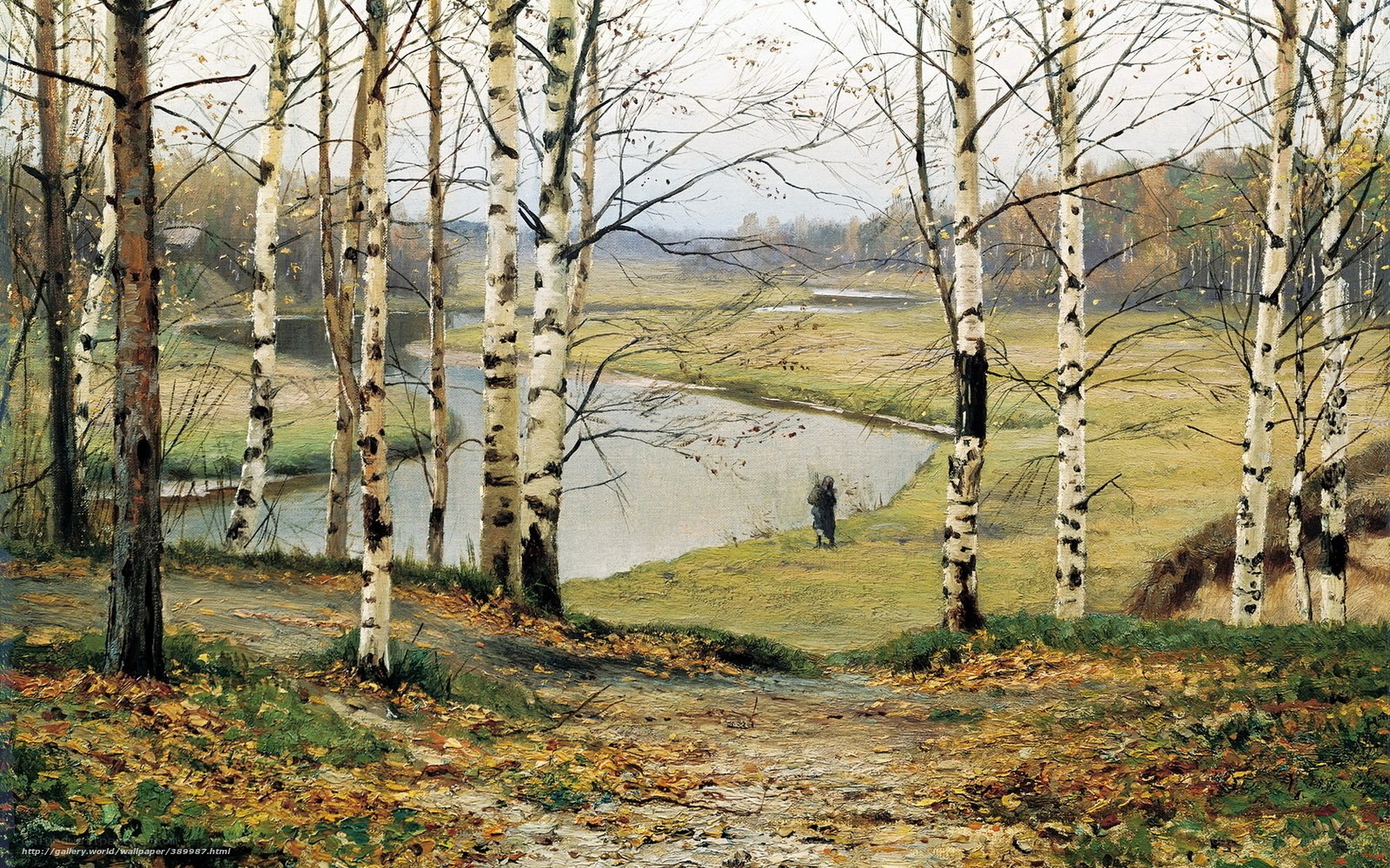 Autumn birch forest landscape