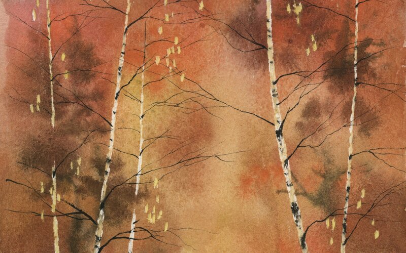 Autumn birch trees