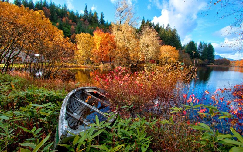 Autumn boat by the lake