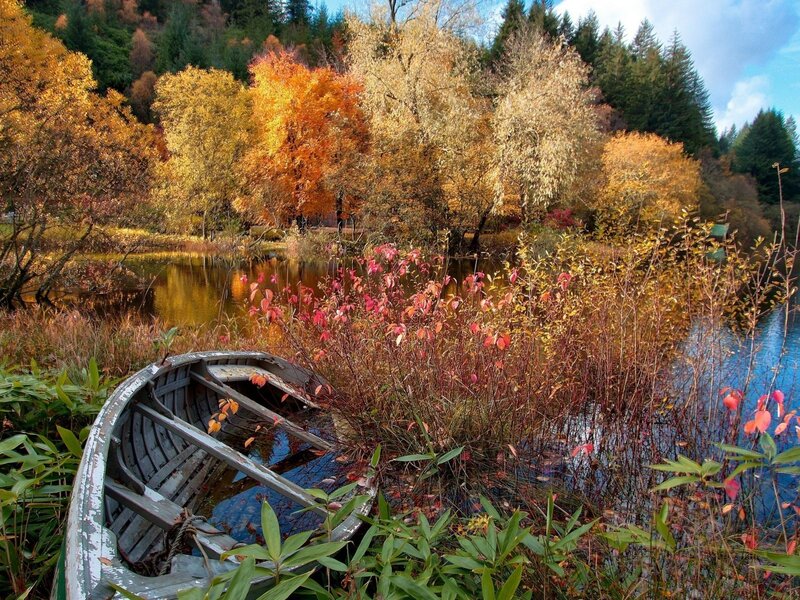 Autumn boat by the lake