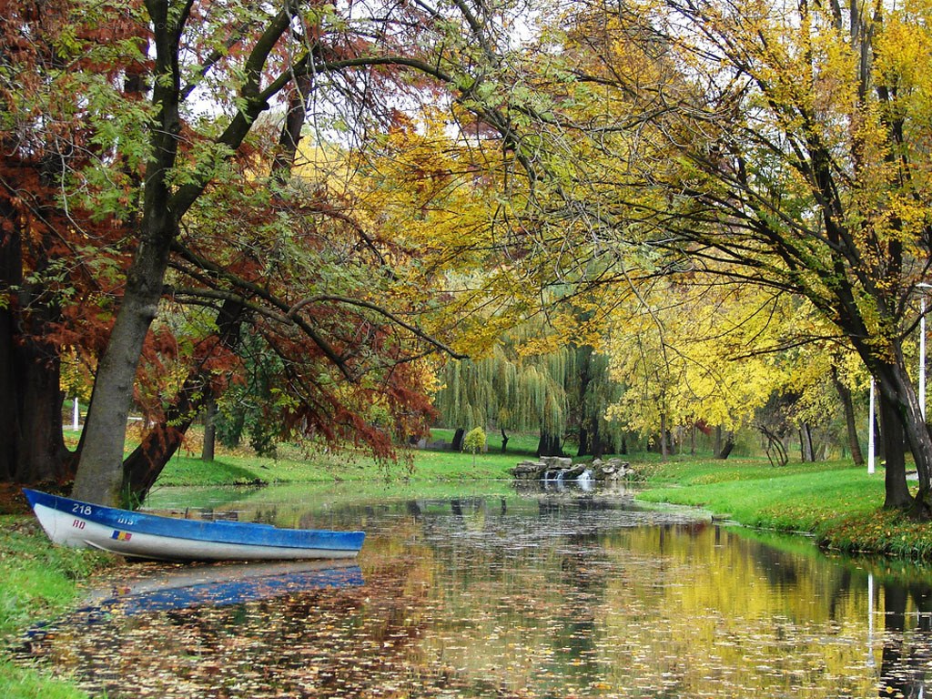 Autumn boat by the river