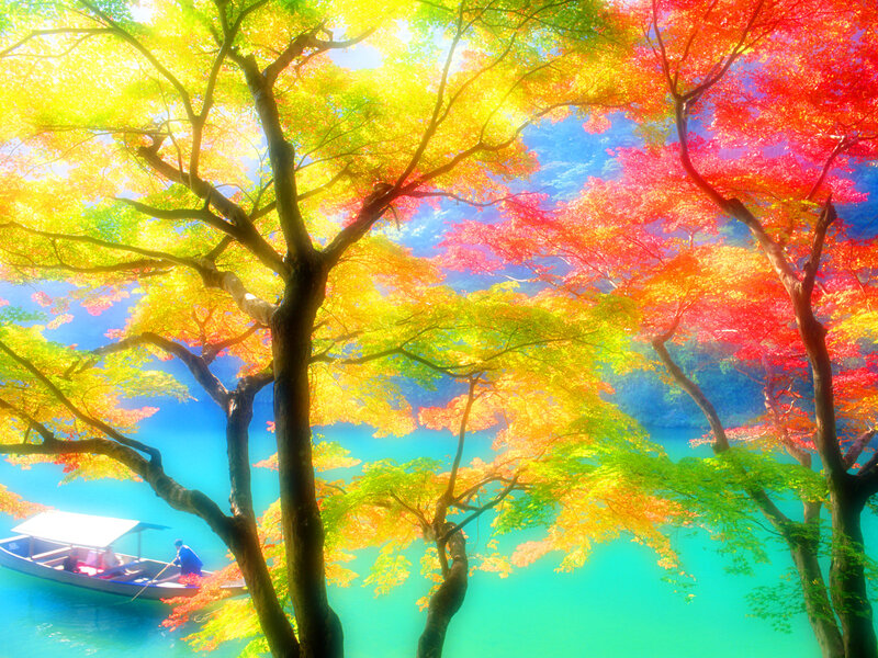 Autumn boat on a colorful river