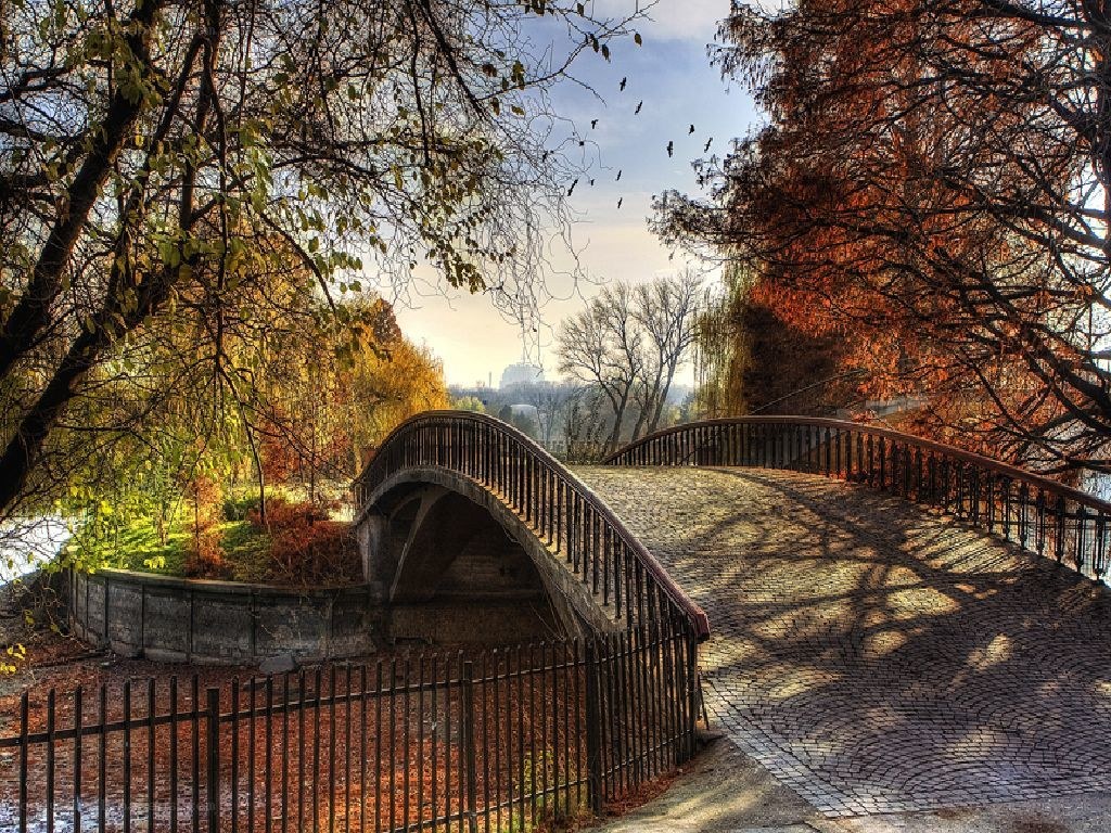 Autumn bridge in a park