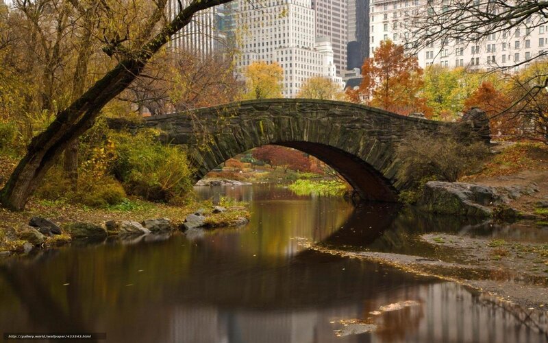 Autumn bridge in Central Park