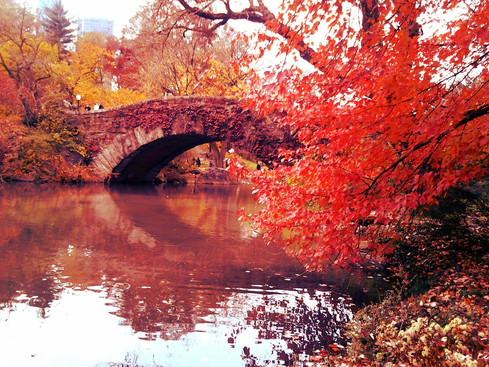 Autumn bridge in Central Park