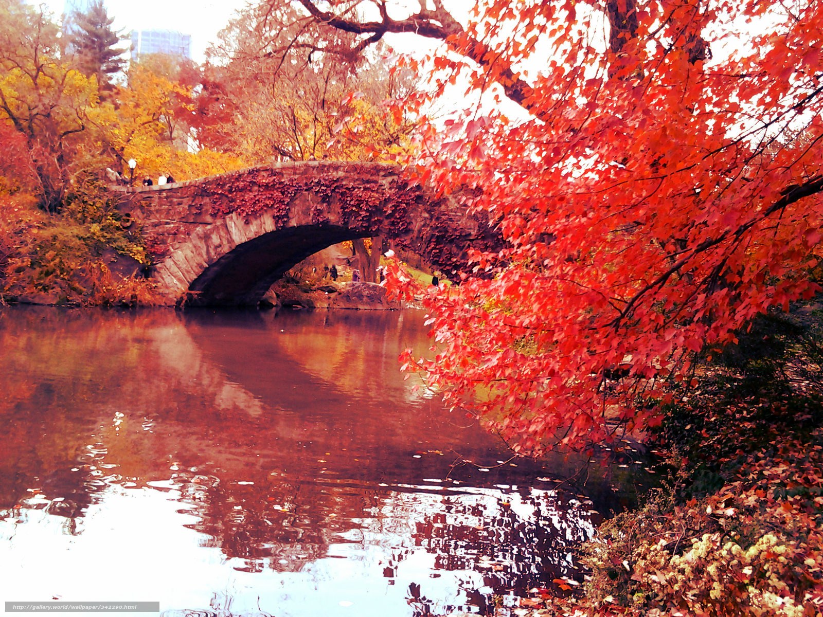 Autumn bridge in Central Park