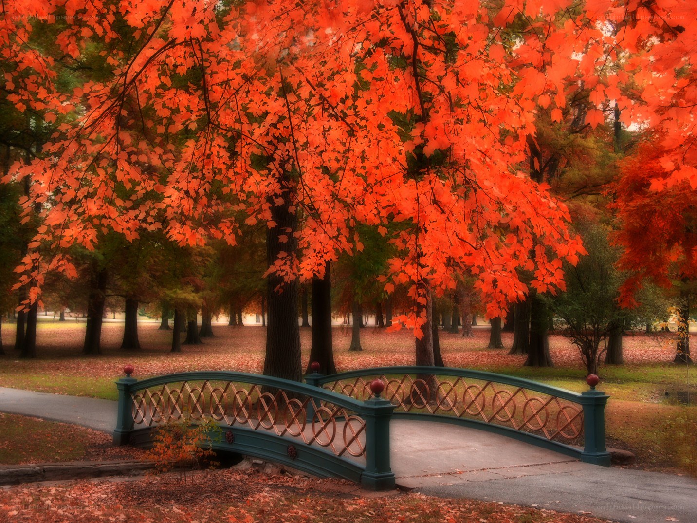 Autumn bridge in park