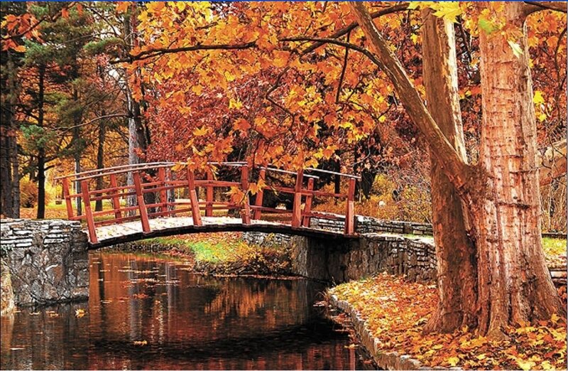 Autumn bridge in park