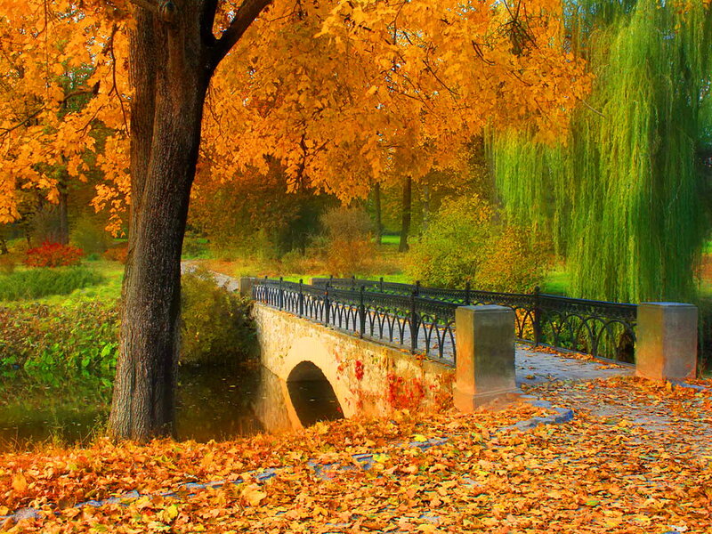 Autumn Bridge in Park — Orange