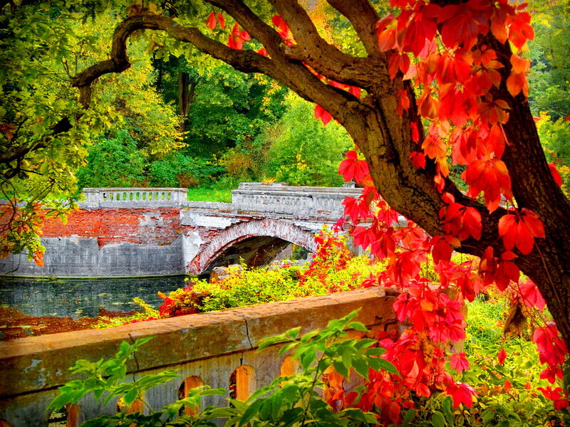 Autumn Bridge in Park — Red