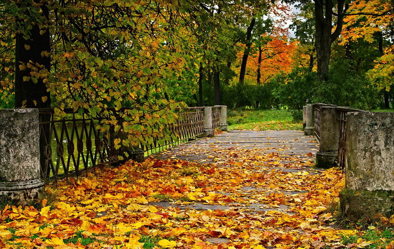 Autumn Bridge in Park — Yellow