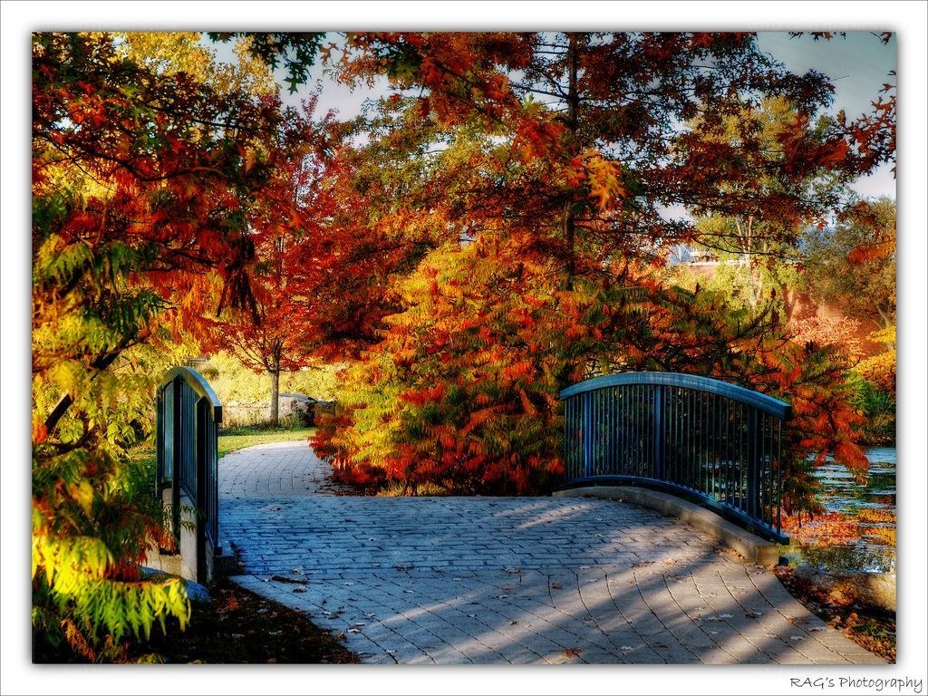 Autumn bridge in park