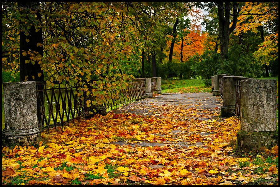 Autumn bridge in the park