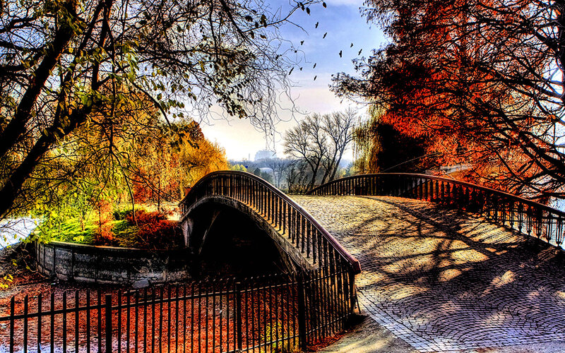 Autumn bridge in the park