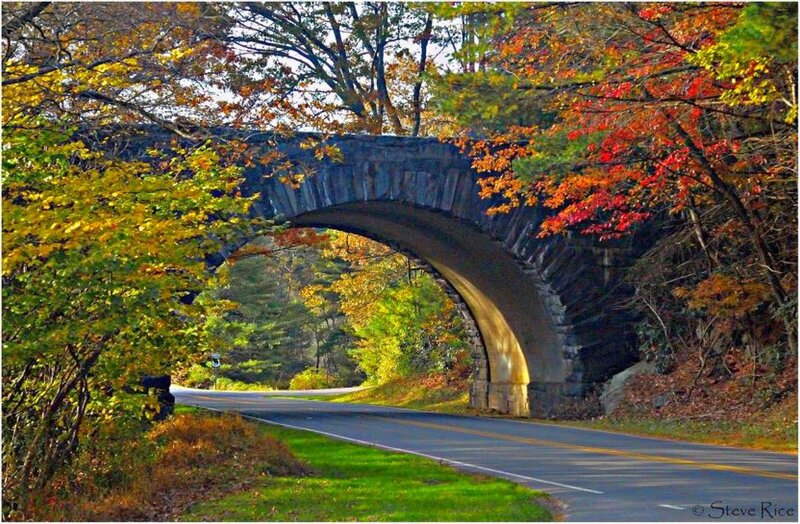 Autumn bridge on a forest road