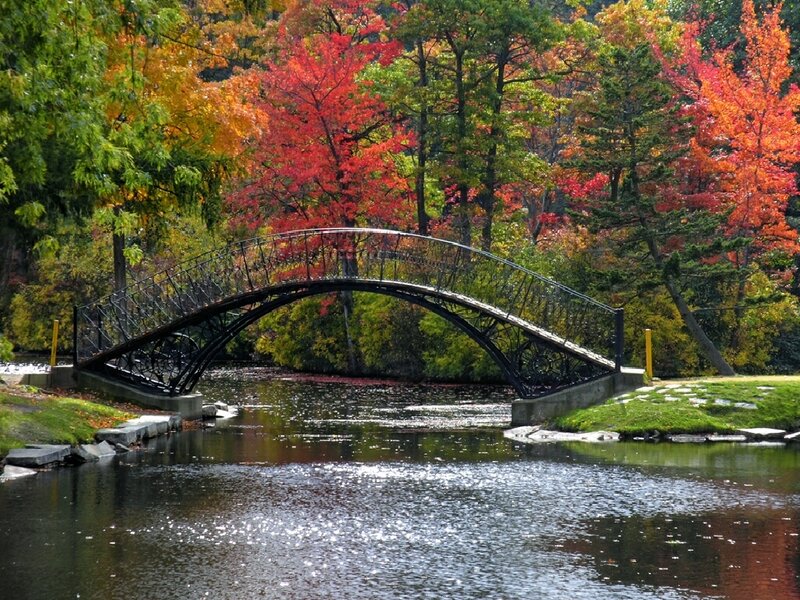 Autumn bridge over a pond