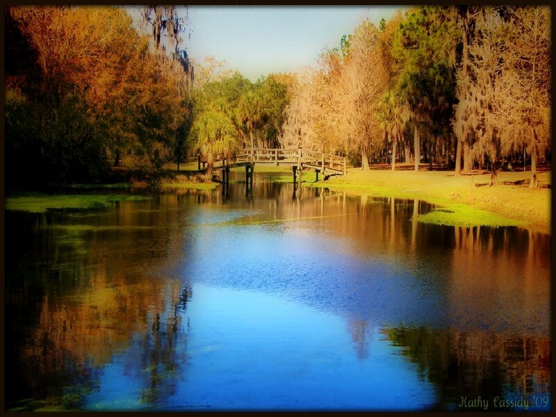 Autumn bridge over calm pond