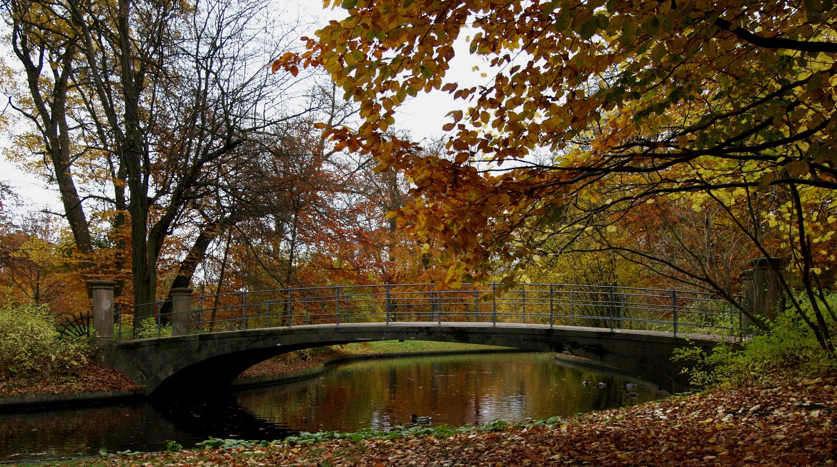 Autumn bridge over canal