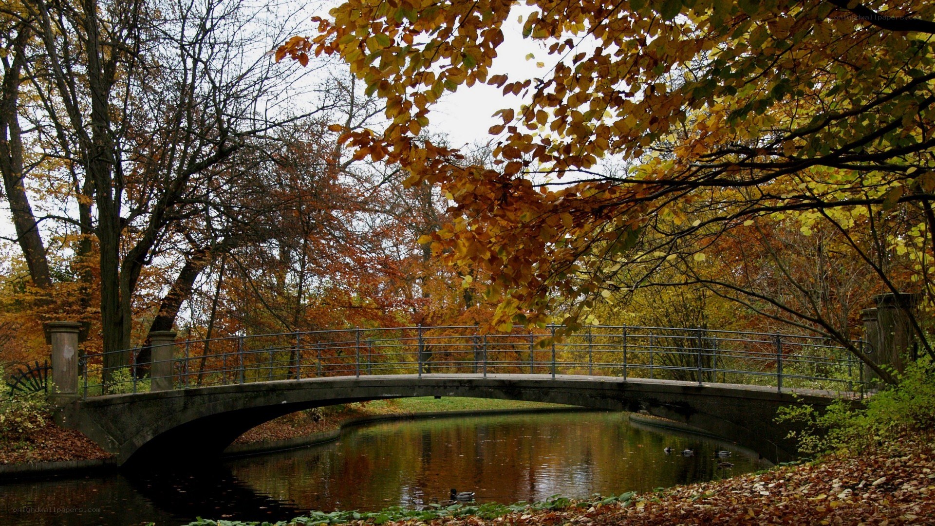 Autumn bridge over canal