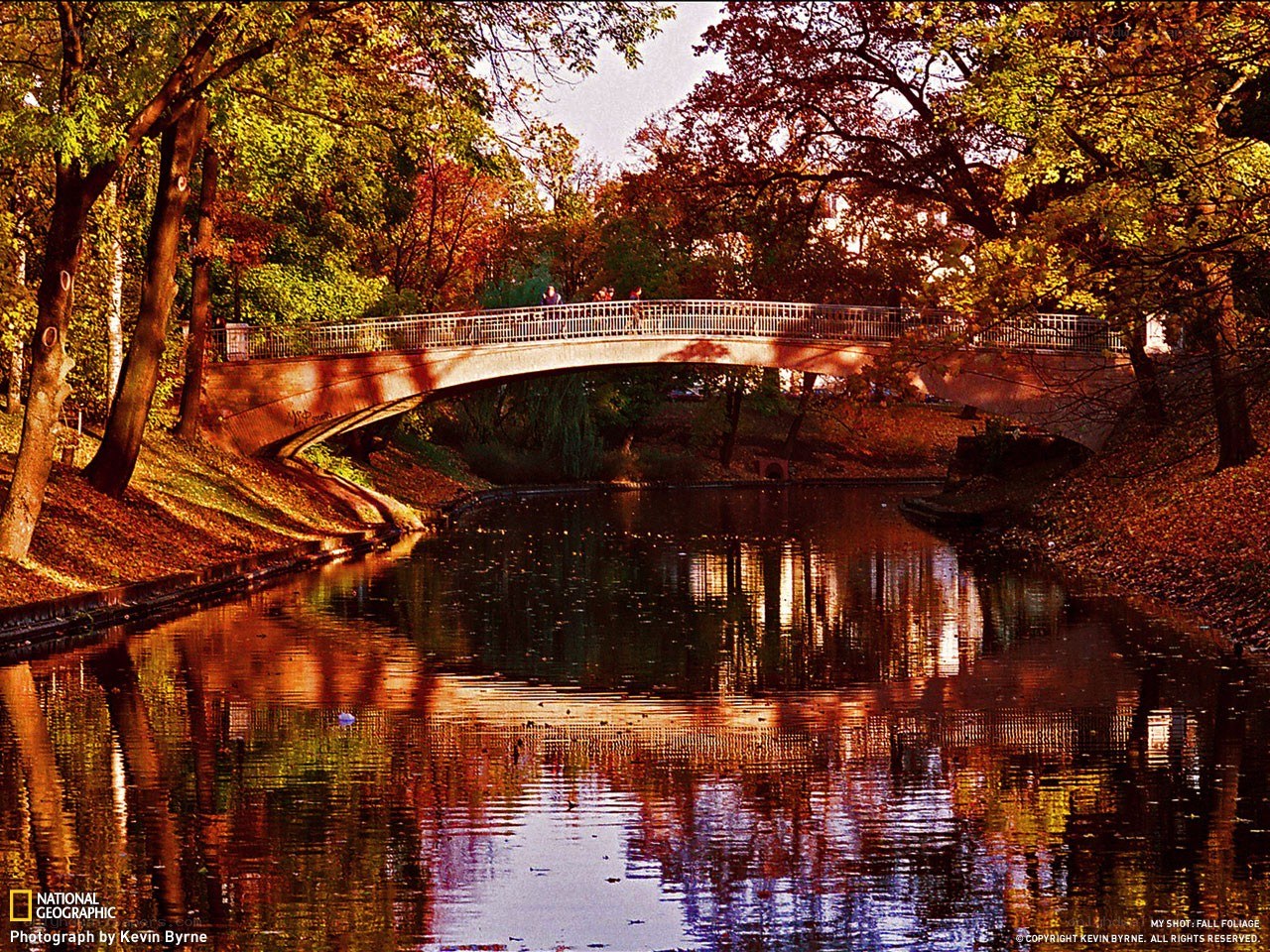 Autumn bridge over canal