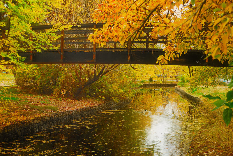 Autumn bridge over canal