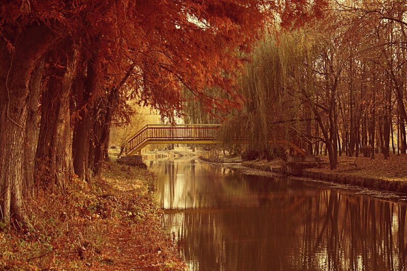 Autumn Bridge over Canal — Brown
