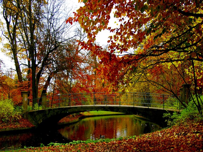 Autumn Bridge over Canal — Red