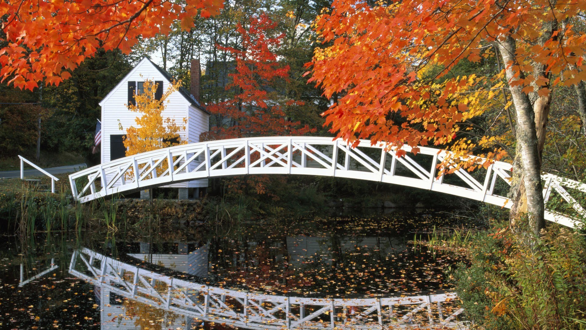 Autumn bridge over pond