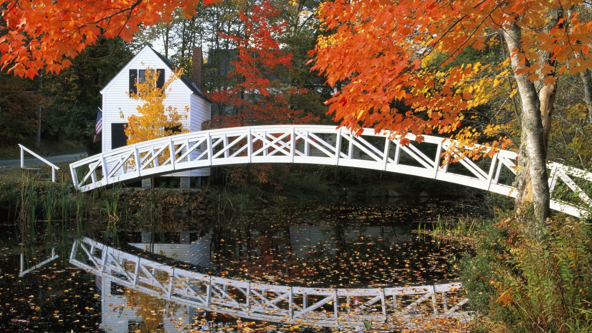 Autumn bridge over pond