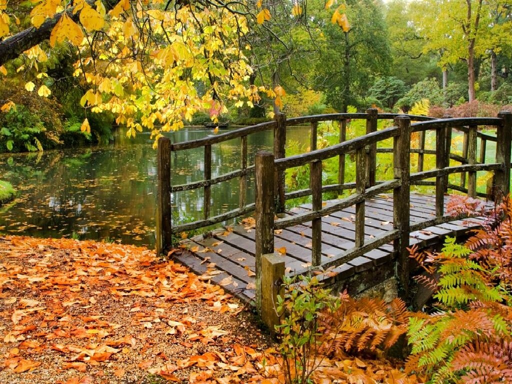 Autumn bridge over pond