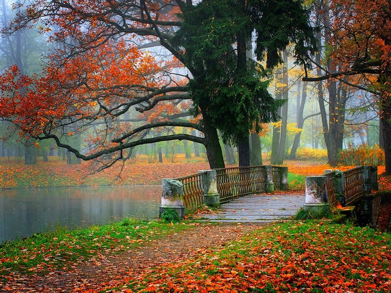 Autumn Bridge over Pond — Orange