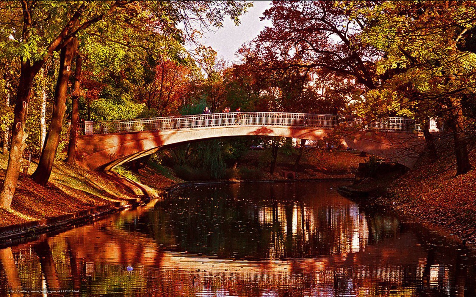 Autumn bridge over river