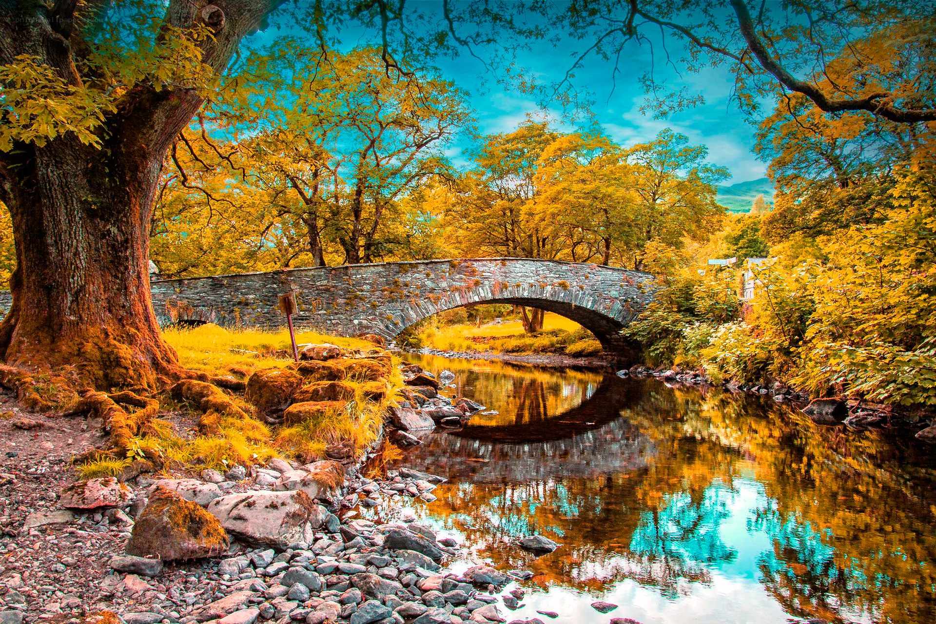 Autumn bridge over river