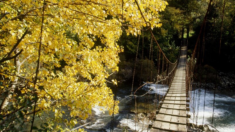 Autumn bridge over river